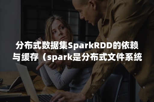 分布式数据集SparkRDD的依赖与缓存（spark是分布式文件系统吗）