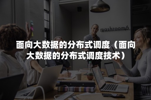 面向大数据的分布式调度（面向大数据的分布式调度技术）