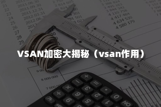 VSAN加密大揭秘（vsan作用）