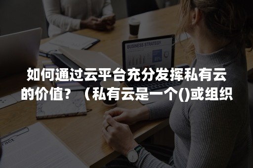 如何通过云平台充分发挥私有云的价值？（私有云是一个()或组织()的云服务平台）