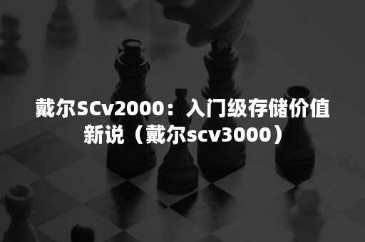 戴尔SCv2000：入门级存储价值新说（戴尔scv3000）