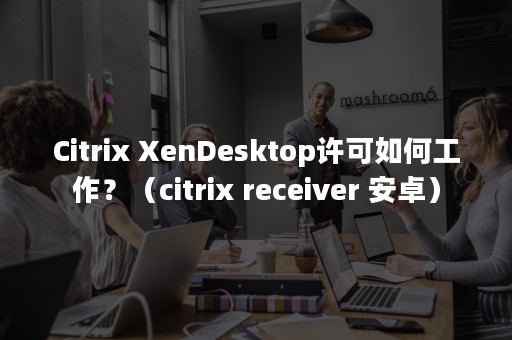 Citrix XenDesktop许可如何工作？（citrix receiver 安卓）