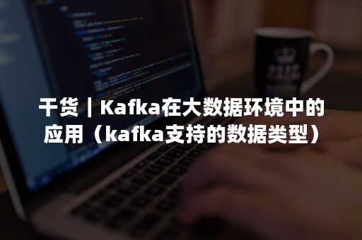 干货｜Kafka在大数据环境中的应用（kafka支持的数据类型）