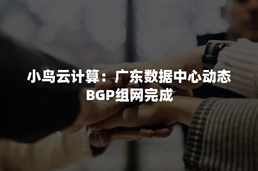 小鸟云计算：广东数据中心动态BGP组网完成
