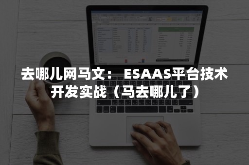 去哪儿网马文： ESAAS平台技术开发实战（马去哪儿了）