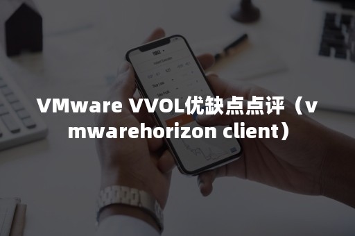 VMware VVOL优缺点点评（vmwarehorizon client）