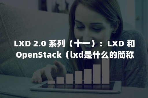 LXD 2.0 系列（十一）：LXD 和 OpenStack（lxd是什么的简称）