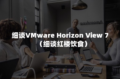 细谈VMware Horizon View 7（细谈红楼饮食）