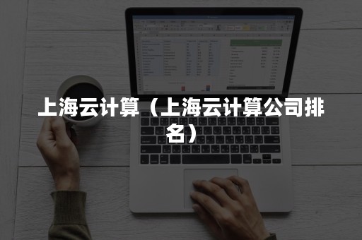 上海云计算（上海云计算公司排名）