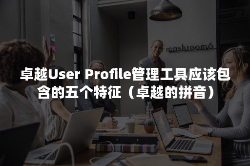 卓越User Profile管理工具应该包含的五个特征（卓越的拼音）