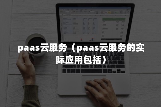 paas云服务（paas云服务的实际应用包括）