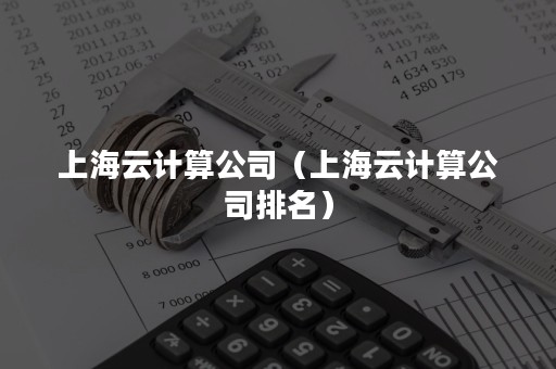 上海云计算公司（上海云计算公司排名）