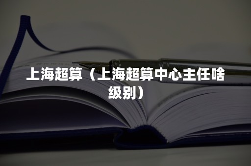 上海超算（上海超算中心主任啥级别）