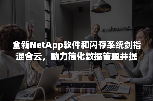 全新NetApp软件和闪存系统剑指混合云，助力简化数据管理并提高性能