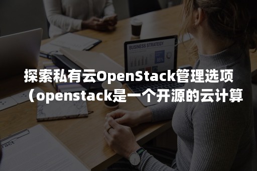 探索私有云OpenStack管理选项（openstack是一个开源的云计算管理平台项目）