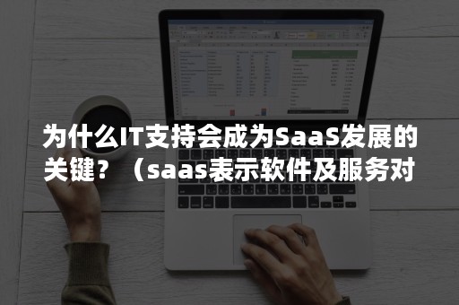 为什么IT支持会成为SaaS发展的关键？（saas表示软件及服务对吗）