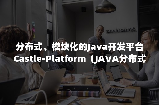 分布式、模块化的Java开发平台Castle-Platform（JAVA分布式开发）