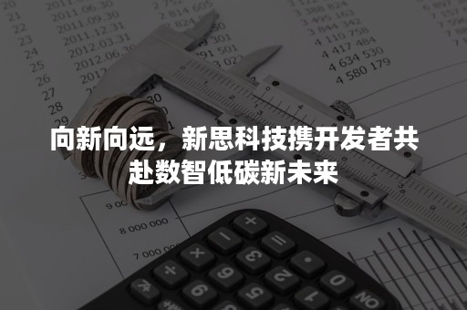 向新向远，新思科技携开发者共赴数智低碳新未来