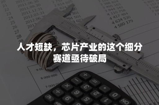 人才短缺，芯片产业的这个细分赛道亟待破局