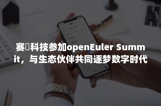 赛昉科技参加openEuler Summit，与生态伙伴共同逐梦数字时代的星辰大海