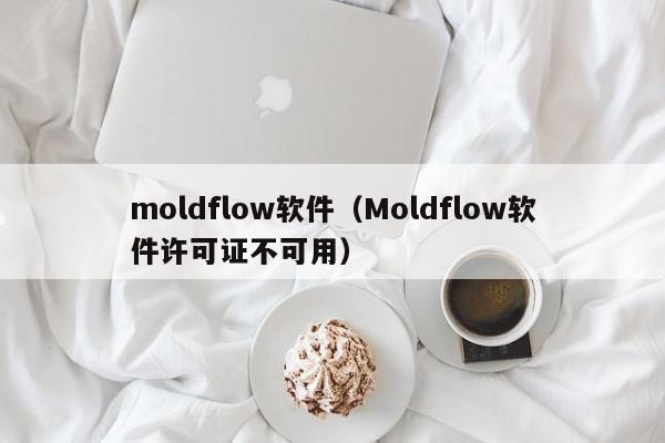 moldflow软件（Moldflow软件许可证不可用）