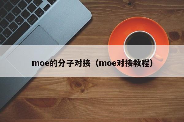 moe的分子对接（moe对接教程）