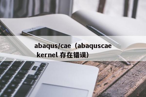 abaqus/cae（abaquscae kernel 存在错误）