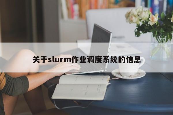 关于slurm作业调度系统的信息