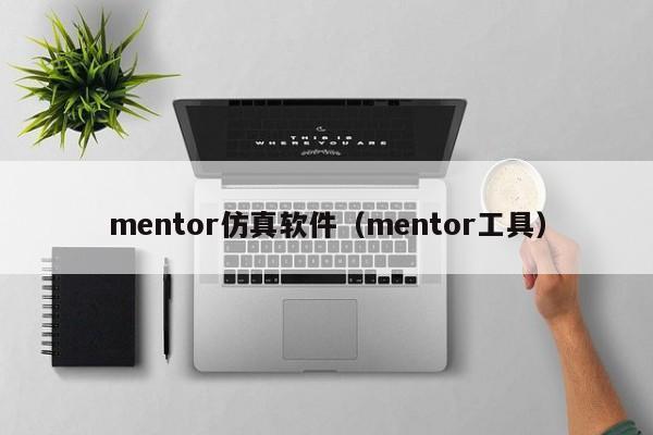 mentor仿真软件（mentor工具）