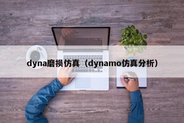 dyna磨损仿真（dynamo仿真分析）